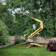  Dulles Town Center, VA Tree Services Pros
