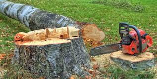 Best Emergency Tree Removal  in Dulles Town Center, VA