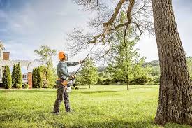 Best Lawn Drainage Solutions  in Dulles Town Center, VA