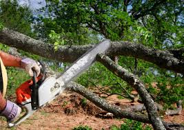 Best Soil Testing and Treatment  in Dulles Town Center, VA