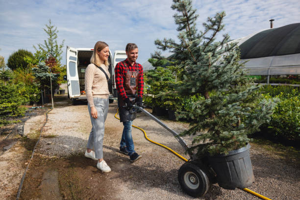Best Tree Removal  in Dulles Town Center, VA